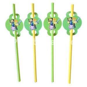 SET 10 PAIE TEMATICA MINECRAFT