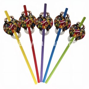 SET 10 PAIE TEMATICA ROBLOX