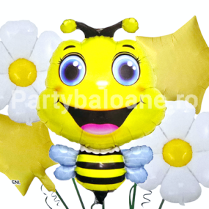 SET 5 BALOANE FOLIE ALBINA SI MARGARETE