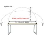 Set complet arcada cu baloane pentru masa