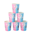 Set 10 Pahare Gender Reveal
