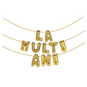 BANNER LA MULTI ANI AURIU