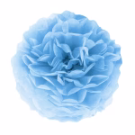 Pompom de hartie, albastru deschis, 25 cm