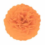 Pompom de hartie,portocaliu, 25 cm