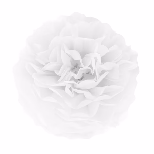 Pompom din hartie alb 15 cm