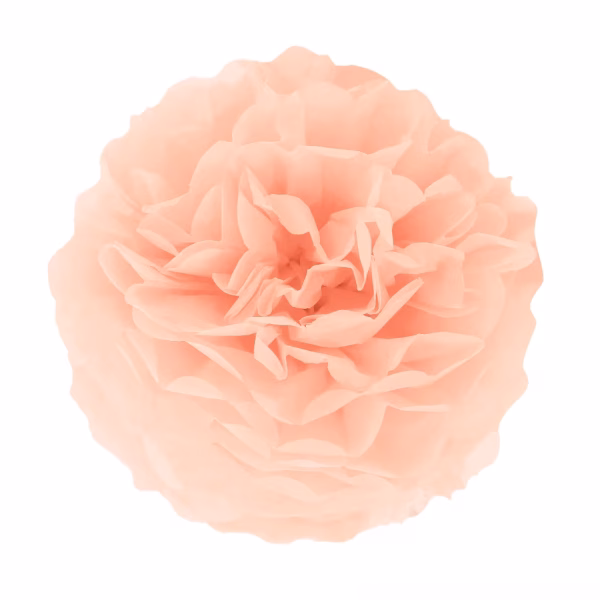 Pompom din hartie piersica, 15 cm