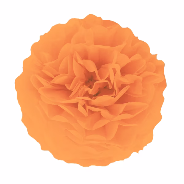Pompom din hartie portocaliu 15 cm