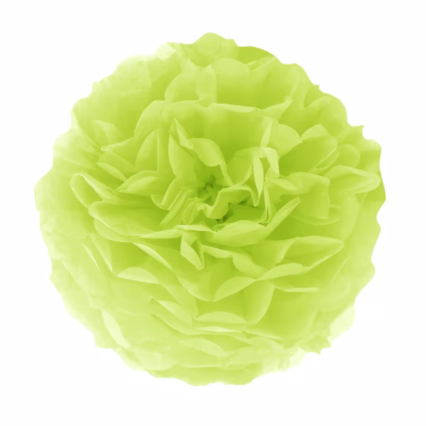 Pompom din hartie verde deschis 15 cmPompom din hartie verde deschis 15 cm