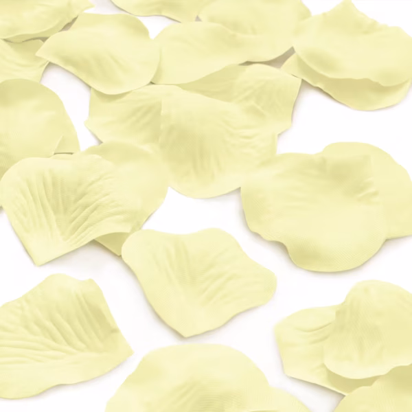 Confetti Petale De Trandafir Crem 500 Buc Detaliu de aproape cu petale de trandafir crem artificiale imprastiate pe un fundal alb punand in evidenta textura fina si nervurile realiste ale materialului